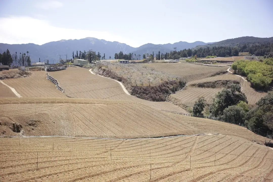 广州企业网站UI设计稿与交互原型衔接的常见问题解析封面图
